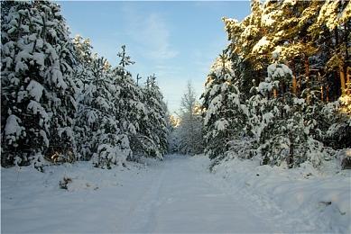 《苏菲的炼金工房2》新中文特典 游戏包含拍照模式